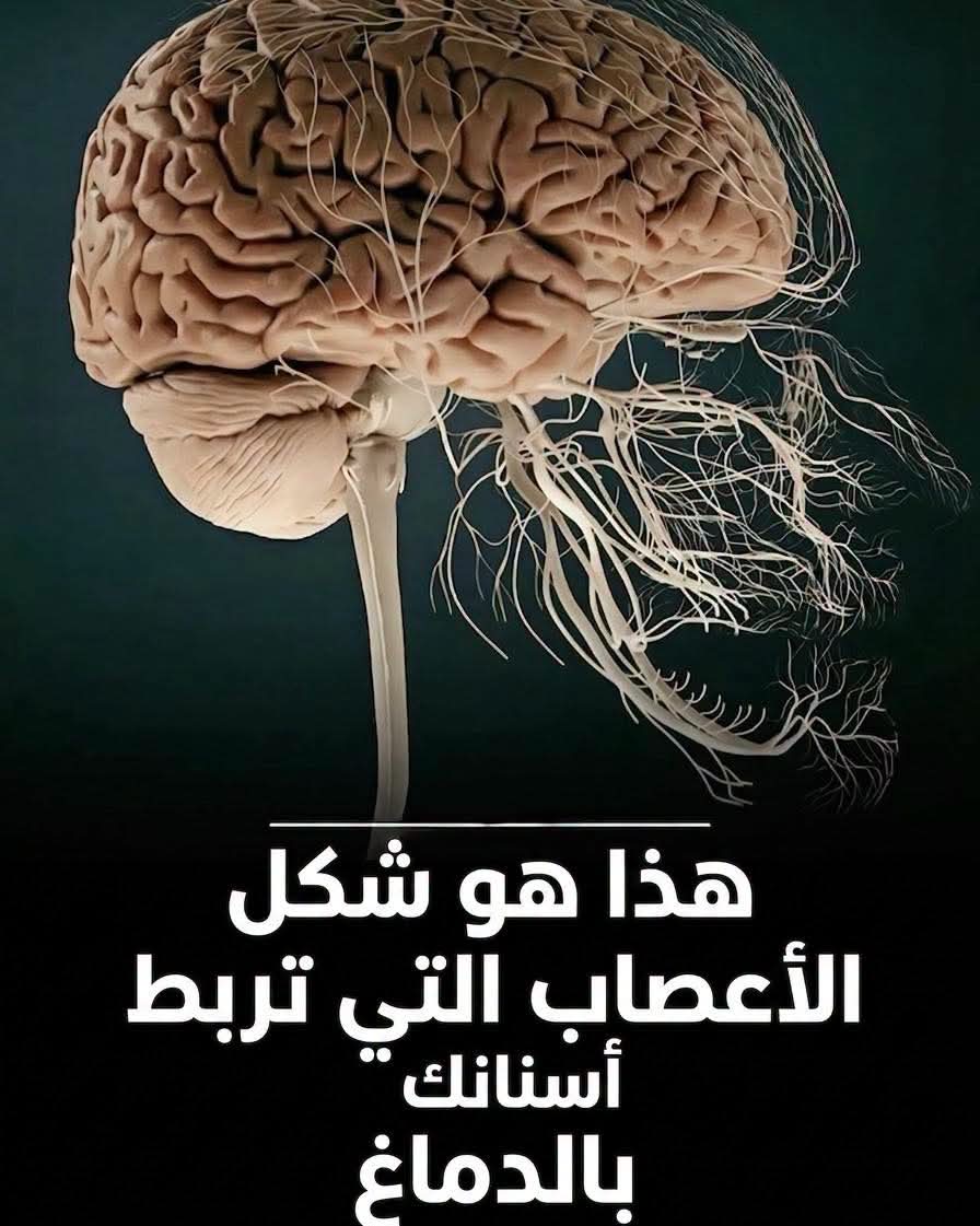 الصورة التي ستجعلك تحترم طبيب أسنانك للأبد