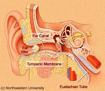 أسباب طنين الأذن وعلاجه